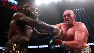 Wilder