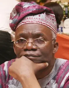 femi-Falana